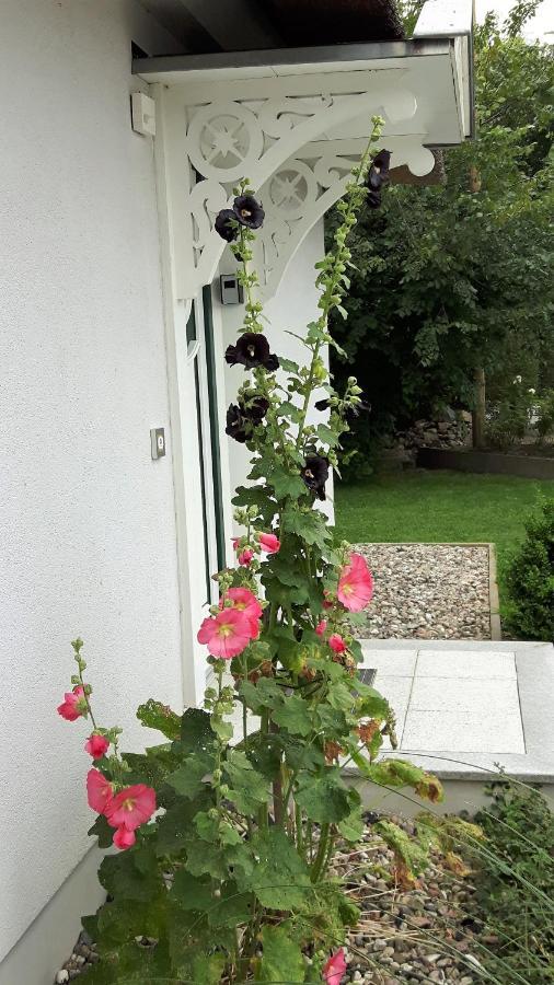 Ferienhaeuser Salzhaff-Romantik Tessmannsdorf Exteriör bild